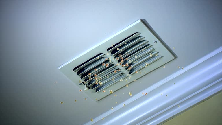 Best Emergency Air Duct Cleaning  in Oconomowoc, WI